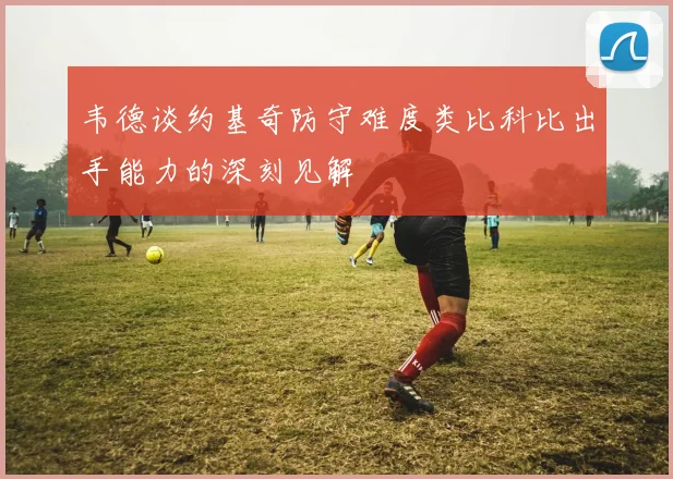 韦德谈约基奇防守难度类比科比出手能力的深刻见解