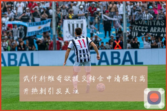 武什科维奇欲提交转会申请强行离开热刺引发关注
